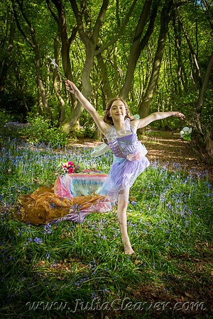 Fairies Amongst the Bluebells