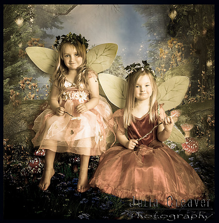 Fairy Wonderland