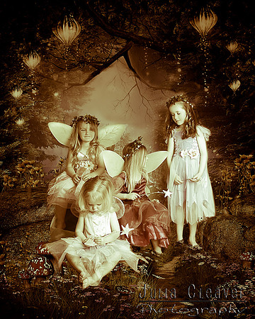 Fairy Wonderland