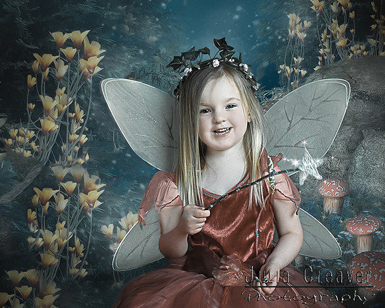 Fairy Wonderland