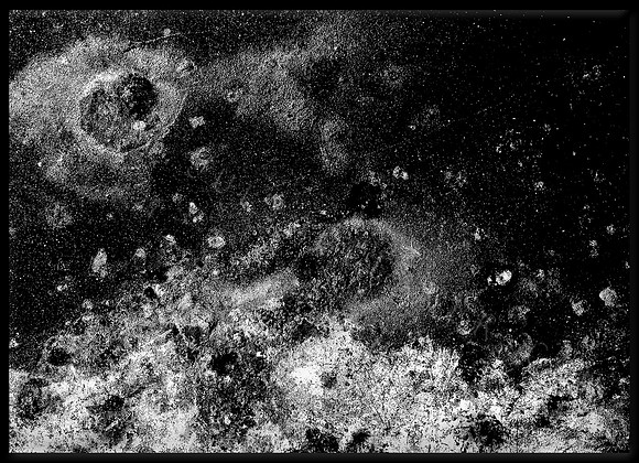 _MG_4626 4
