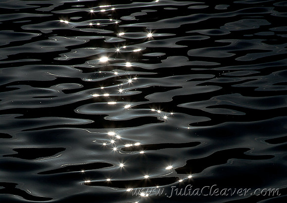 Sunlight on Water