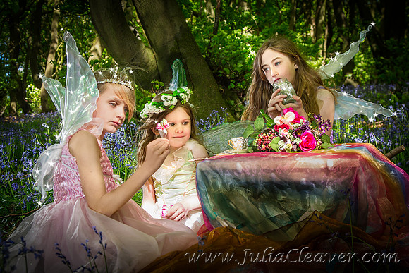 Fairies Amongst the Bluebells