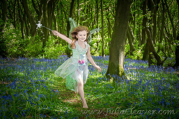 Fairies Amongst the Bluebells