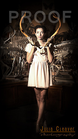 Oxford University Museum of Natural History,