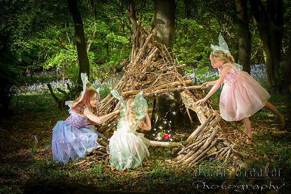 Fairies Amongst the Bluebells