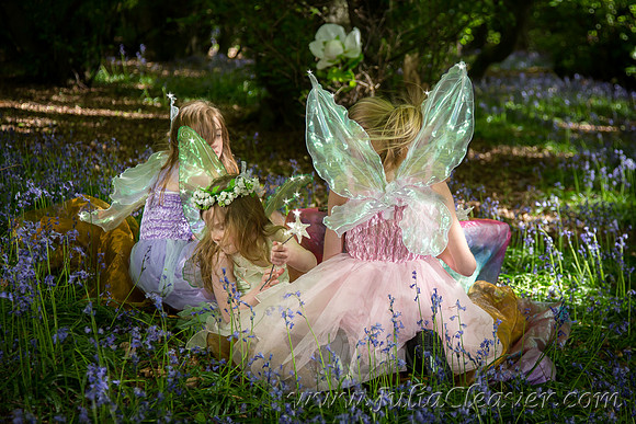 Fairies Amongst the Bluebells