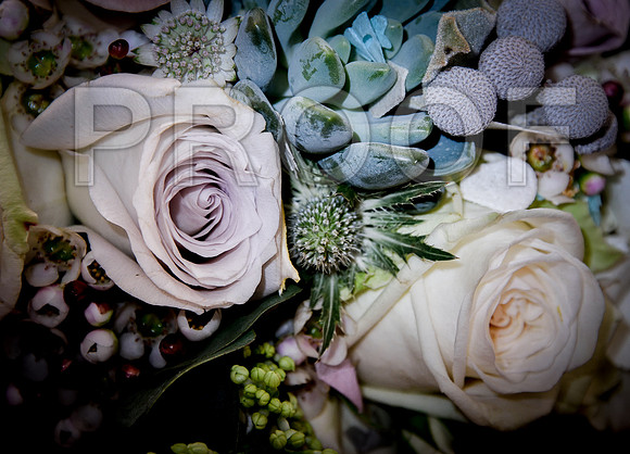 The Wedding of Claire & Roland