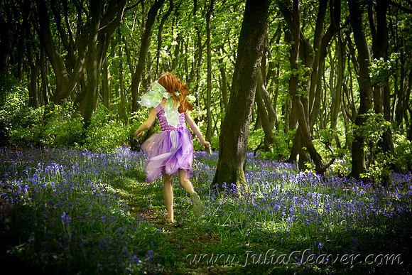 Fairies Amongst the Bluebells